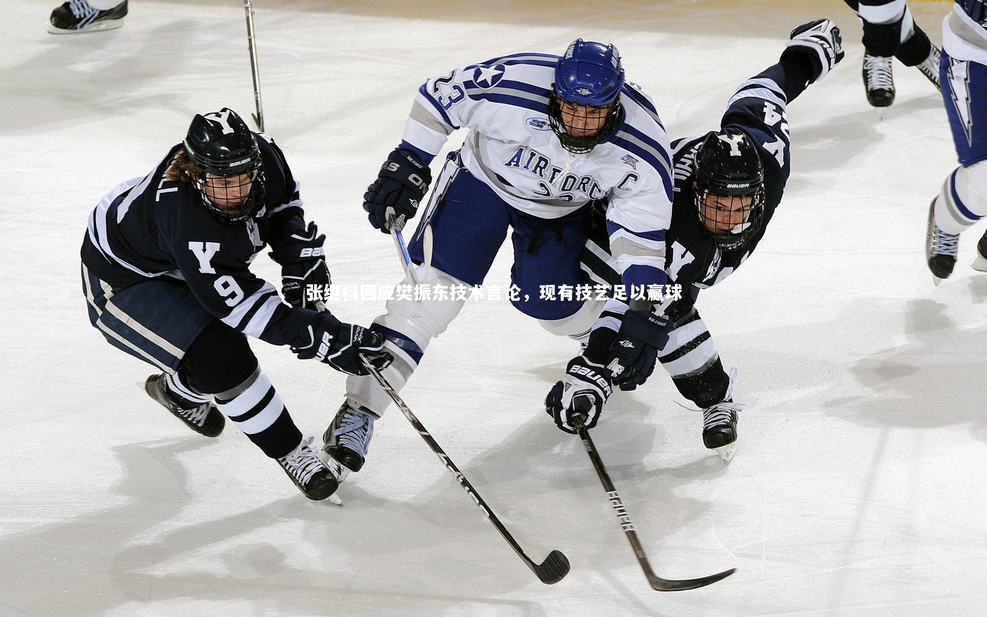张继科回应樊振东技术言论，现有技艺足以赢球